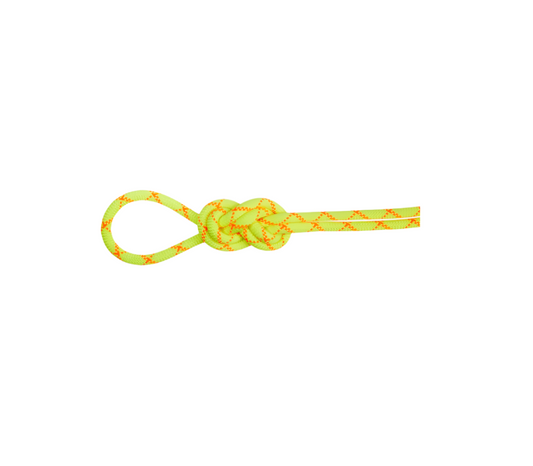 Alpine Core Protect Dry 9.5mm x 70m Climbing Rope